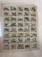 Schoolplaten, Antiek en Kunst, Ophalen of Verzenden