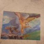 3 d Poster Havik, Gebruikt, Rechthoekig Liggend, Ophalen of Verzenden, A1 t/m A3
