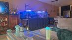 Zee aquarium 2 meter bij 1 meter 10 bak, Dieren en Toebehoren, Ophalen of Verzenden, Gebruikt, Leeg aquarium