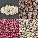 Droogbonen zaden diverse soorten, Verzenden, Zaad