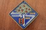 Tegeltje regeringsjubileum Wilhelmina 1938 - Goedewaagen, Ophalen of Verzenden, Zo goed als nieuw, Nederland, Overige typen