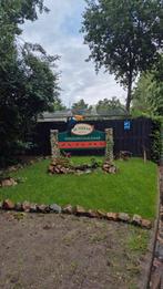 Mooie & Gezonde Vogels kopen?, Dieren en Toebehoren, Vogels | Overige Vogels, Meerdere dieren