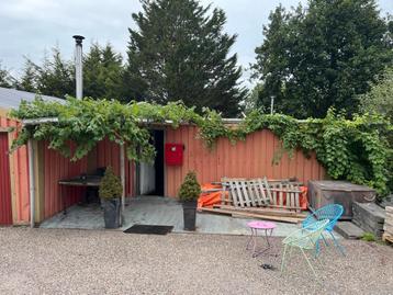 Druivenstruik beschikbaar voor biedingen