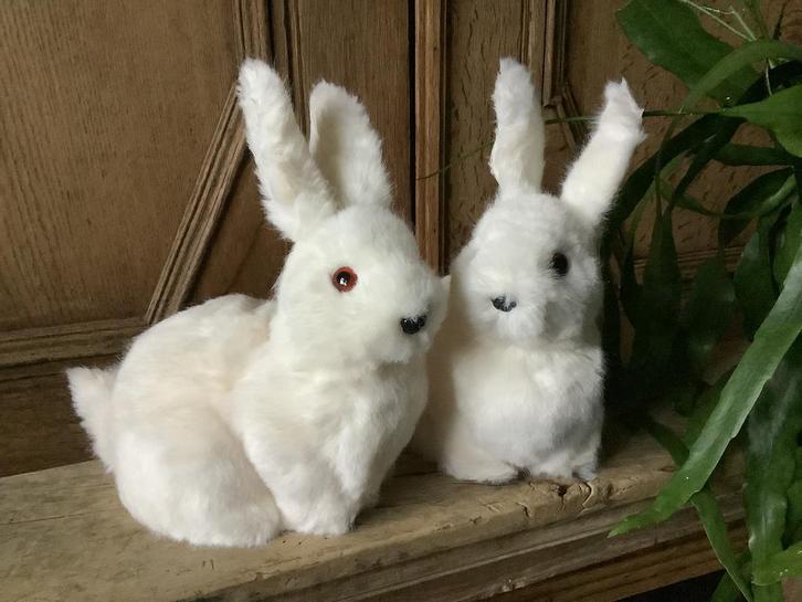 NIEUW set witte pluche decoratie konijntjes, Huis en Inrichting, Woonaccessoires | Overige, Nieuw, Ophalen of Verzenden