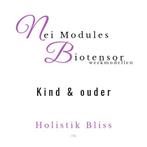 Nei & biotensor modules/werkmodellen, Ophalen of Verzenden, Beta, HBO