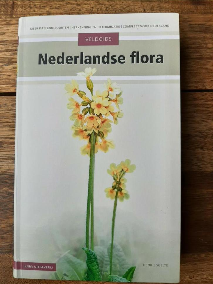 Henk Eggelte - Veldgids Nederlandse flora, Boeken, Wonen en Tuinieren, Zo goed als nieuw, Moestuin, Ophalen of Verzenden