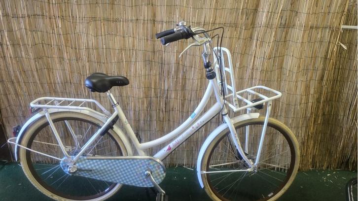 2563 Cortina Lief Transport, Fietsen en Brommers, Fietsen | Dames | Damesfietsen