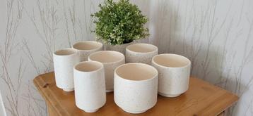 6 bloempotjes en 1 vaasje beschikbaar voor biedingen