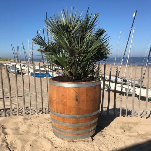 Halve wijnvaten, compleet voorzien van planten geplaatst, Tuin en Terras, Bloembakken en Plantenbakken, Nieuw, Hout, Ophalen of Verzenden