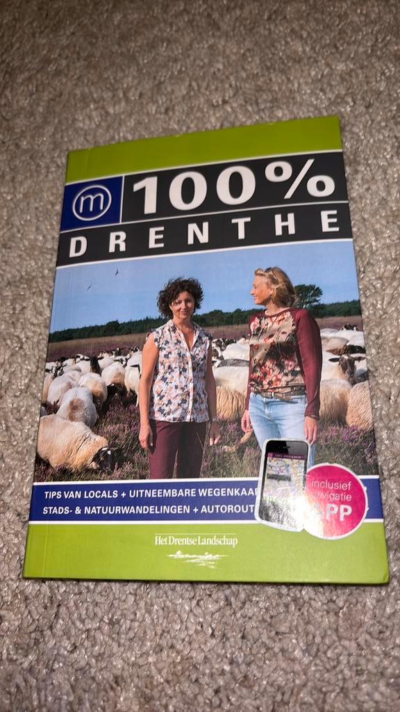 Judith de Ruiter - 100% Drenthe, Boeken, Reisgidsen, Zo goed als nieuw, Reisgids of -boek, Europa, Overige merken, Ophalen of Verzenden