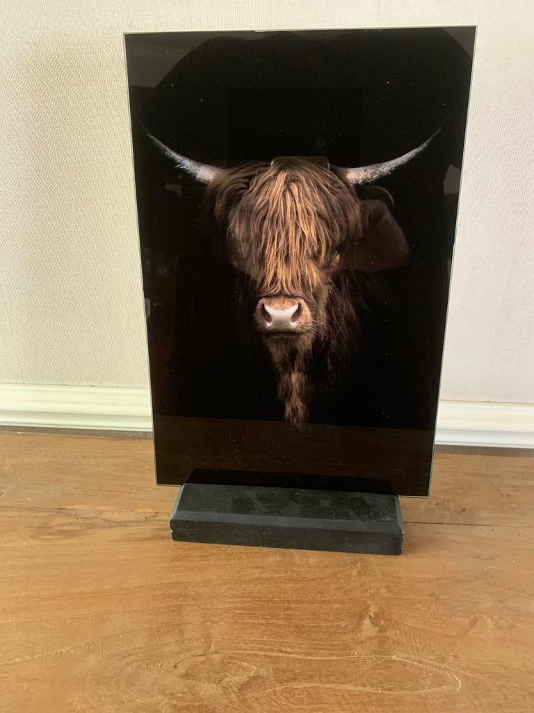 Glasschilderij nieuw, Ophalen of Verzenden, Zo goed als nieuw, Minder dan 50 cm, Schilderij