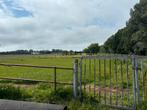 Stalling en weidegang ( paddock paradijs ), Dieren en Toebehoren, Stalling en Weidegang