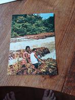 Ansichtkaart Suriname gezicht op waterval ongelopen, Ophalen of Verzenden, Italië