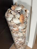 Schelpen in glazen vaas, Ophalen, Zo goed als nieuw