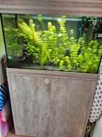 Aquarium aquatlantis, Ophalen of Verzenden, Gebruikt, Leeg aquarium
