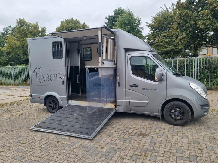Paardentransport aangeboden, Dieren en Toebehoren, Paarden en Pony's | Overige Paardenspullen, Nieuw, Overige soorten, Ophalen of Verzenden
