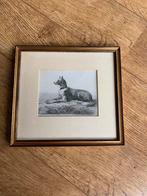 Ingelijste Prent Hond, Ophalen of Verzenden