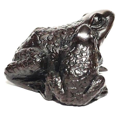 Ironwood Netsuke van een kikker met jong Meiji periode Japan, Antiek en Kunst, Kunst | Niet-Westerse kunst, Ophalen of Verzenden