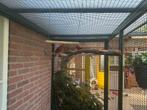 Penant rossela wildkleur koppel, Dieren en Toebehoren, Vogels | Parkieten en Papegaaien, Meerdere dieren, Parkiet, Geringd