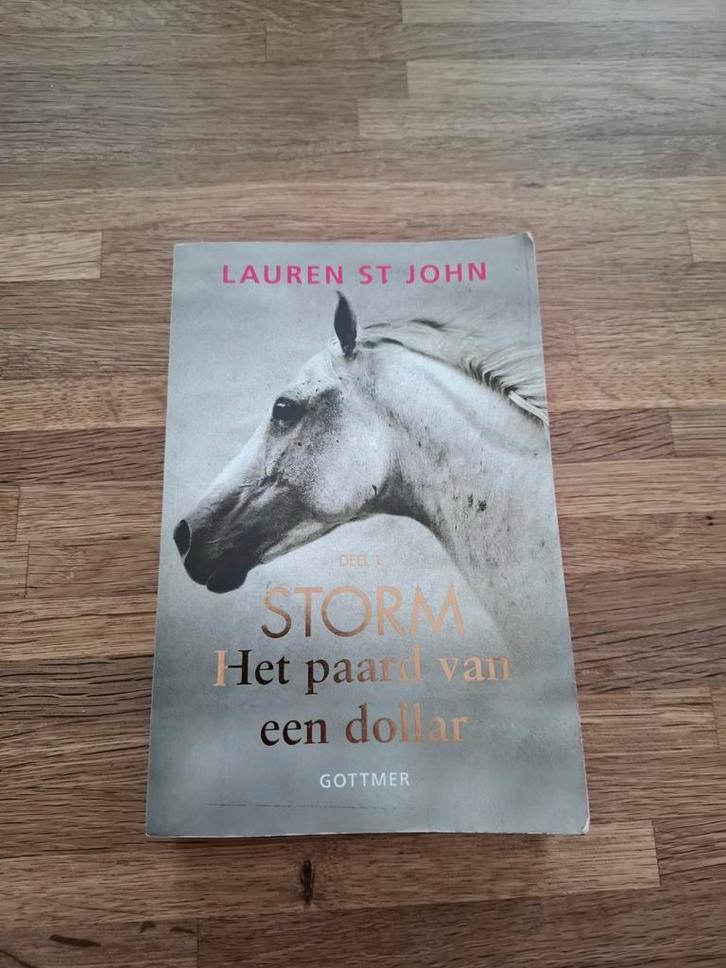 Lauren St John - Het paard van een dollar, Boeken, Kinderboeken | Jeugd | 10 tot 12 jaar, Zo goed als nieuw, Ophalen