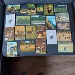 Collectie Ansichtkaarten met Dieren, Ophalen of Verzenden, 1960 tot 1980, Gelopen, Hond of Kat