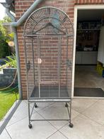 Dwergpapegaaien kooi, Ophalen, Zo goed als nieuw, Metaal, Vogelkooi
