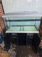 Gratis aquarium met kast, Dieren en Toebehoren, Vissen | Aquaria en Toebehoren, Ophalen, Gebruikt, Leeg aquarium