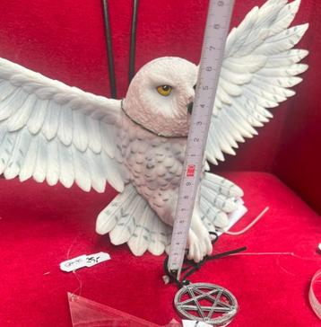 Gothic beeld -  Anne Stokes - -WITTE UIL 45cm Nemesis Now  beschikbaar voor biedingen