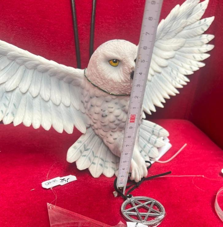 Gothic beeld -  Anne Stokes - -WITTE UIL 45cm Nemesis Now, Verzamelen, Beelden en Beeldjes, Nieuw, Fantasy, Ophalen of Verzenden