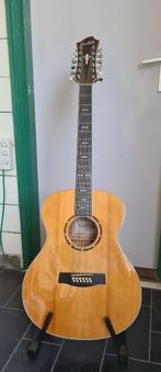gitaar, Muziek en Instrumenten, Snaarinstrumenten | Gitaren | Akoestisch, Ophalen, Gebruikt, Klassieke of Spaanse gitaar, 12-snarig