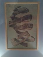 Escher geschild hoofd, Ophalen