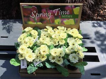 Kunstplant 12 stuks - licht geel beschikbaar voor biedingen