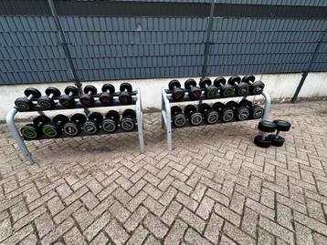Dumbells 12kg t/m 36kg + 2 Technogym Opbergrekken beschikbaar voor biedingen