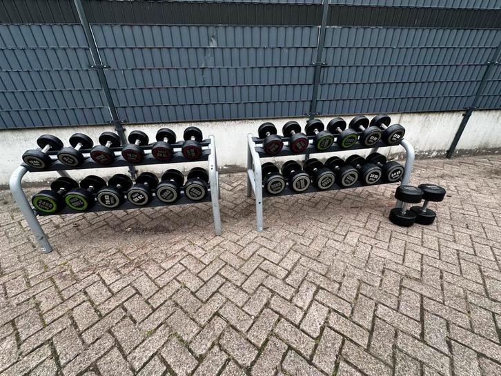 Dumbells 12kg t/m 36kg + 2 Technogym Opbergrekken, Sport en Fitness, Fitnessmaterialen, Gebruikt, Dumbbell, Ophalen