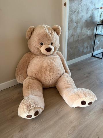 Ted XXL beer ( knuffel beer) beschikbaar voor biedingen