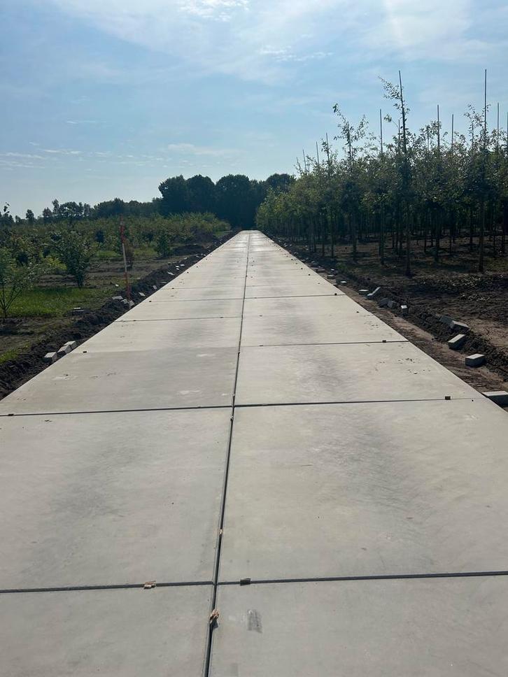 Betonplaten stelconplaten industrieplaten winter aanbieding!, Tuin en Terras, Tegels en Klinkers, Nieuw, Overige typen, Beton