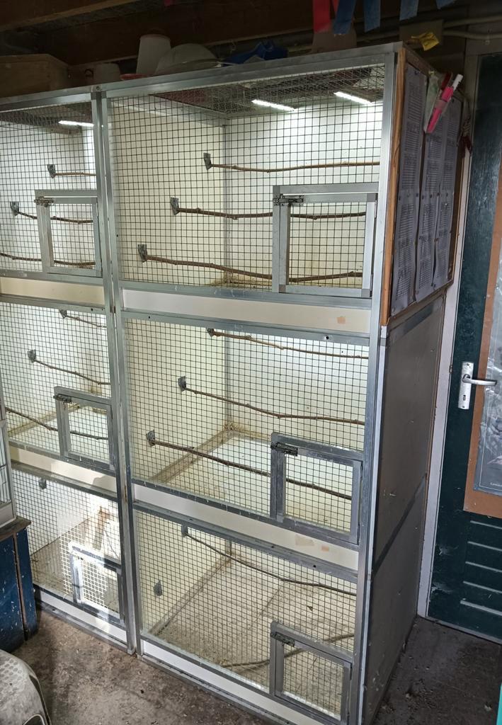 6 vluchtjes, Dieren en Toebehoren, Vogels | Hokken en Kooien, Zo goed als nieuw, Broedkooi of Kweekkooi, Aluminium, Ophalen of Verzenden