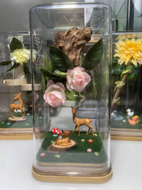 Springspin terrarium bambi roze hert rozen paddenstoel, Dieren en Toebehoren, Insecten en Spinnen, Spin of Schorpioen