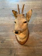 Hert, Ophalen, Hert, Gewei of Kop