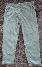 Cavello Broek Maat 54, Maat 52/54 (L), Cavello, Ophalen of Verzenden, Grijs