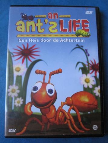 An Ant's Life - Een reis door de achtertuin beschikbaar voor biedingen