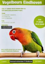 Vogelbeurs Eindhoven 3e zondag van de maand (as zondag), Meerdere dieren
