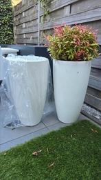 Elho Pure Soft Round high 40 NIEUW, Ophalen, Kunststof, 40 cm of meer, Rond