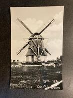 5. Molen - Krommenie - De Palmboom - schapen - Meelmolen, Noord-Holland, Ongelopen, Verzenden