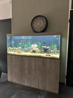 Mooi compleet Ciano EMOTIONS PRO 150 Aqarium, Dieren en Toebehoren, Vissen | Aquaria en Toebehoren, Ophalen, Zo goed als nieuw