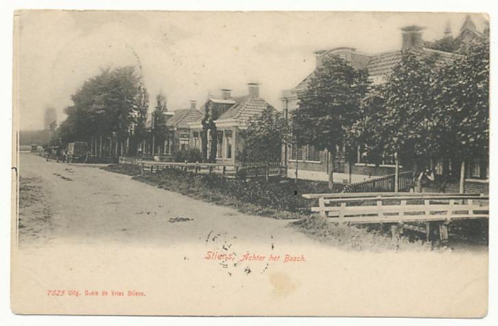 Stiens,  achter het Bosch, Verzamelen, Ansichtkaarten | Nederland, Gelopen, Friesland, Voor 1920, Verzenden
