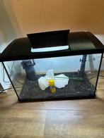 Te koop Superfish aquarium 60x30x30 met ledverlichting, Dieren en Toebehoren, Vissen | Aquaria en Toebehoren, Ophalen, Zo goed als nieuw
