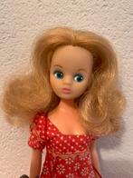 Daisy Mary quant,Barbie(achtige), Ophalen of Verzenden, Gebruikt, Pop