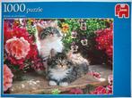 PUZZEL KITTENS IN THE GARDEN, Ophalen of Verzenden, 500 t/m 1500 stukjes, Zo goed als nieuw, Legpuzzel
