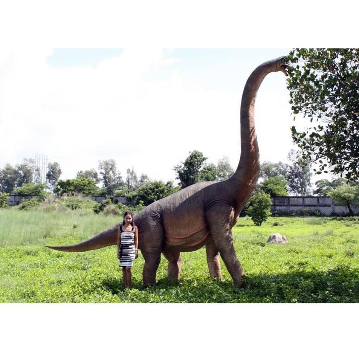 Brachiosaurus – Dinosaurus beeld Hoogte 472 cm, Verzamelen, Dierenverzamelingen, Nieuw, Ophalen
